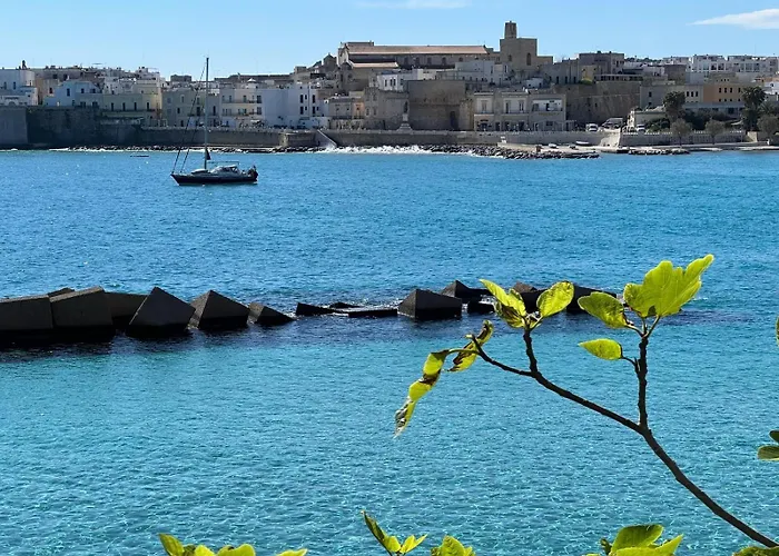 דירה Terrazza Idrusa *