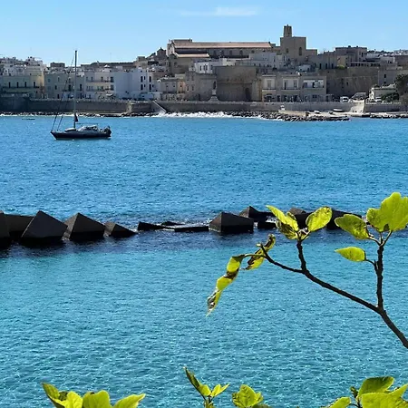 Lejlighed Terrazza Idrusa *